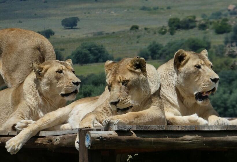 فندق Lionsrock Big Cat Sanctuary