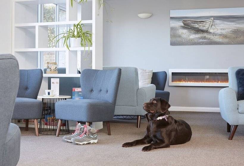 호텔 Luccombe Manor Country House