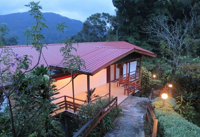 فندق Mile 36 Lodge