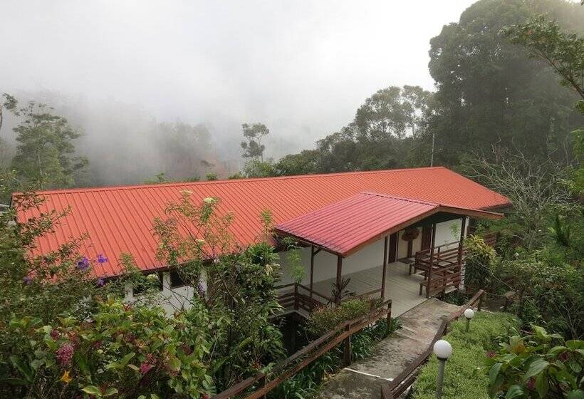 فندق Mile 36 Lodge