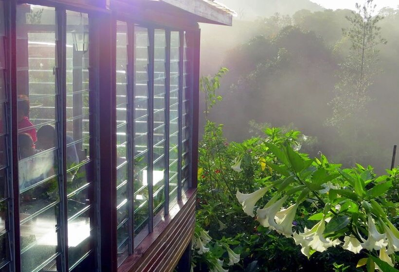 فندق Mile 36 Lodge