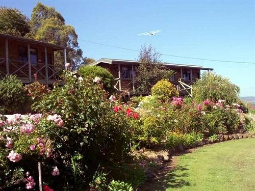 فندق Mole Creek Cabins