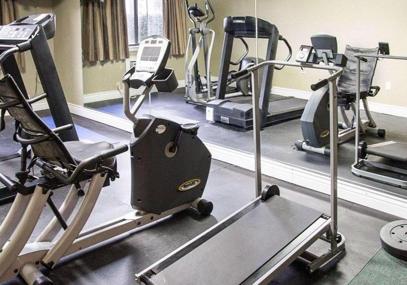 בית מלון כפרי Rodeway Inn Florence   Cincinnati South