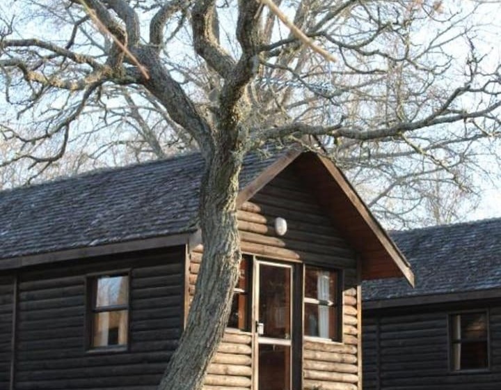 Отель Rotorua Thermal Holiday Park