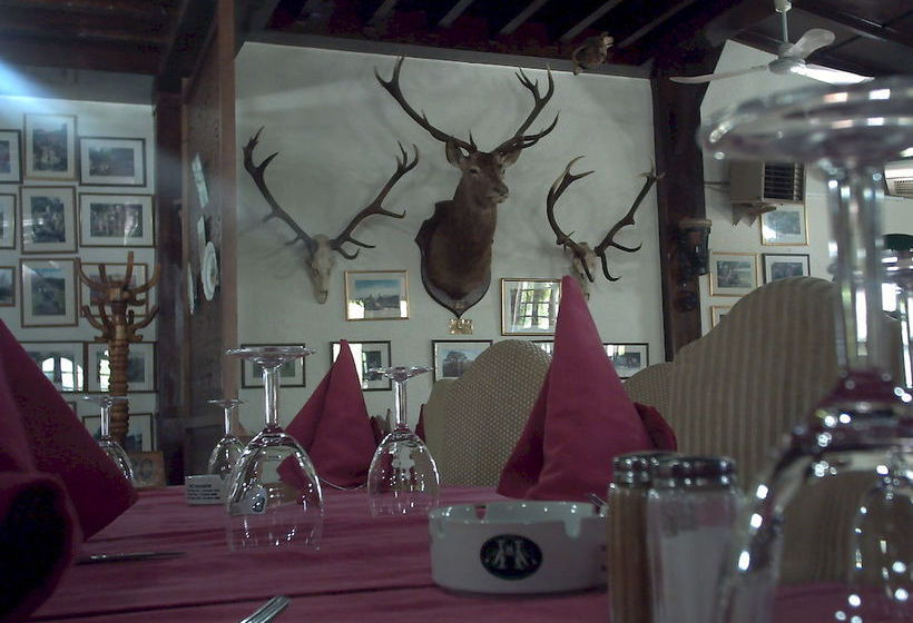 فندق Royal Rihana