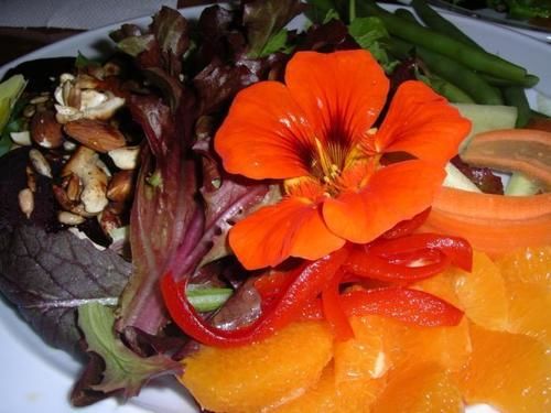 בית מלון כפרי Sans Souci Inn