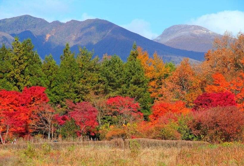 בית מלון כפרי Scotch Court