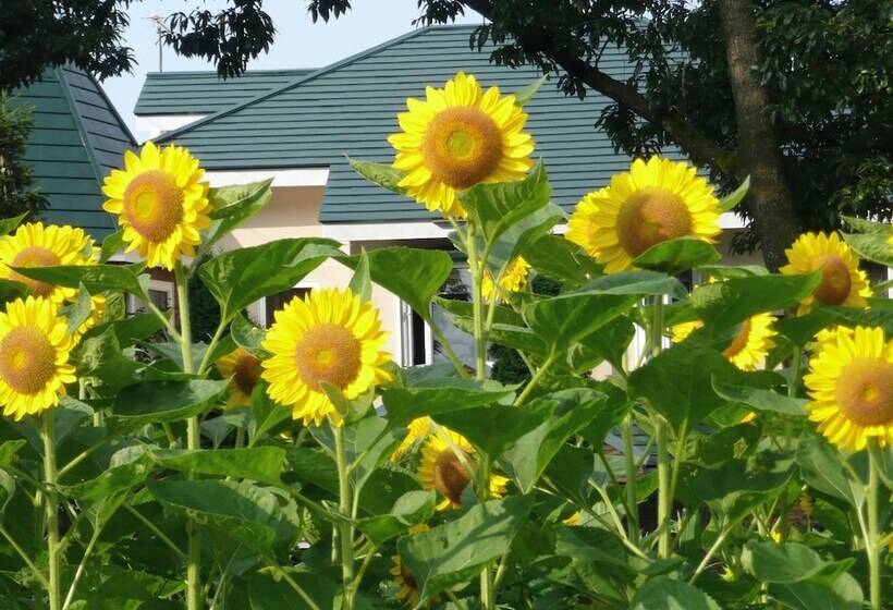 בית מלון כפרי Scotch Court