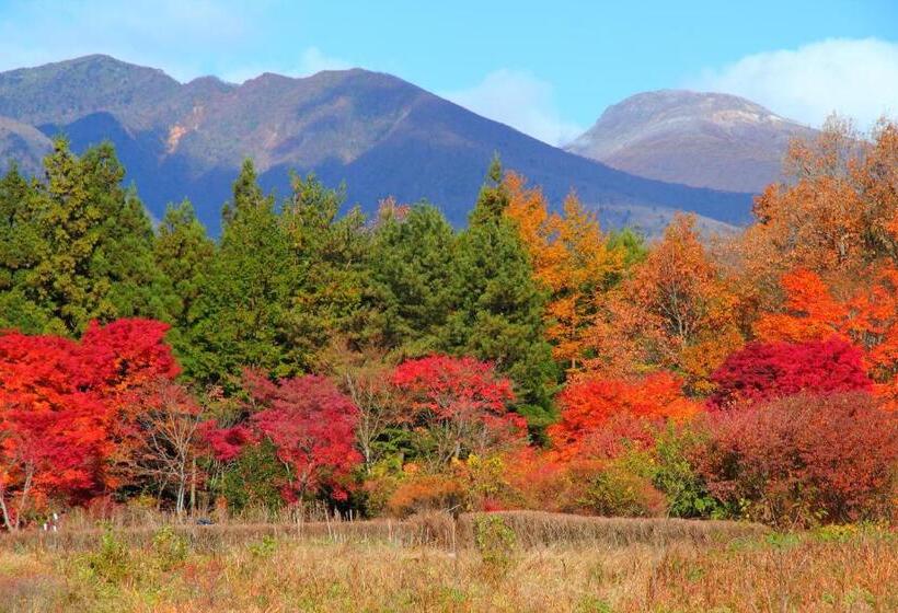 בית מלון כפרי Scotch Court