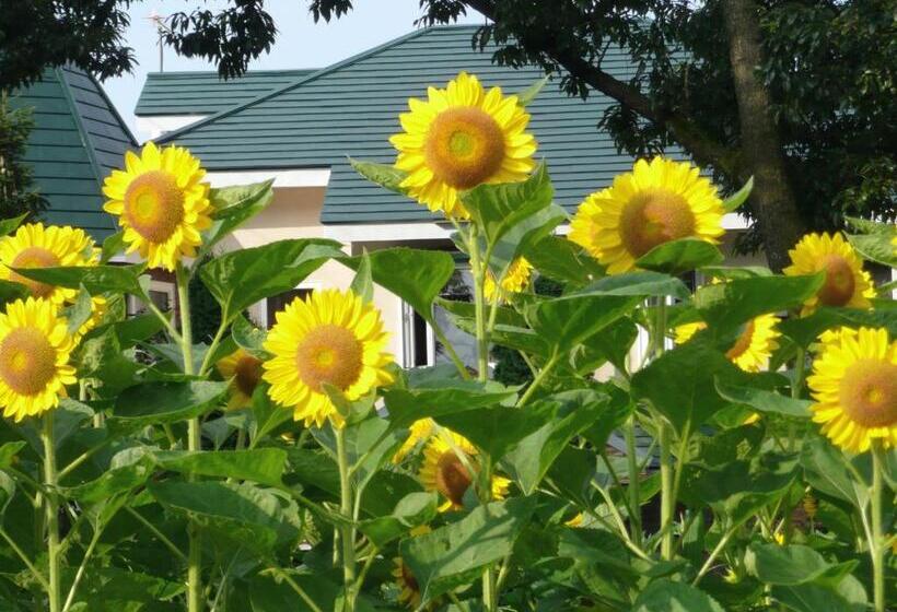 בית מלון כפרי Scotch Court