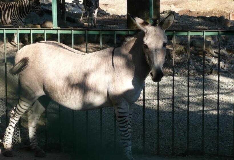 בית מלון כפרי Scotch Court