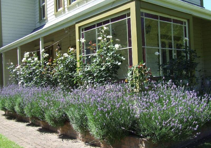 בית מלון כפרי Tairoa Lodge