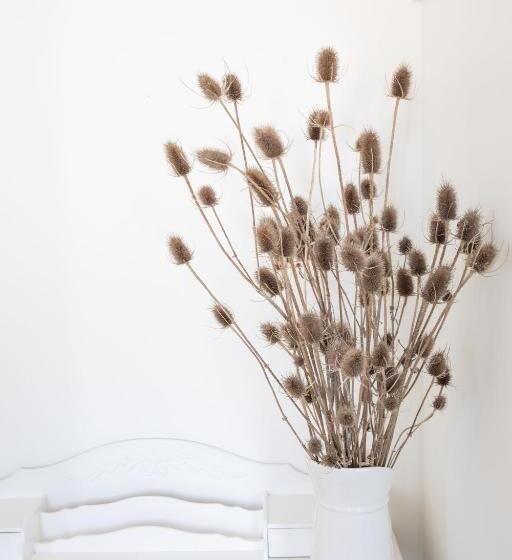 בית מלון כפרי The White Swan