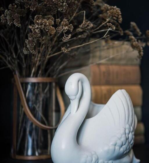 בית מלון כפרי The White Swan