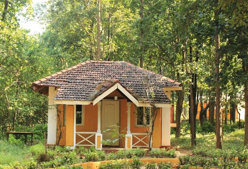 בית מלון כפרי Wild Chalet Resort