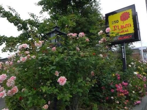 Ilam Motel