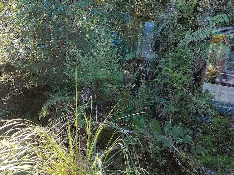 モーテル Aspen Court Franz Josef