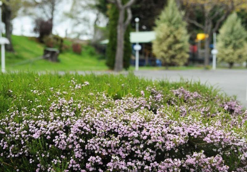 فندق على الطريق Blenheim Bridges Holiday Park