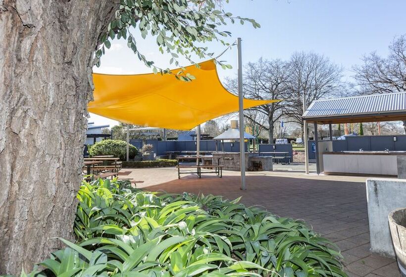 מוטל Hastings Top 10 Holiday Park