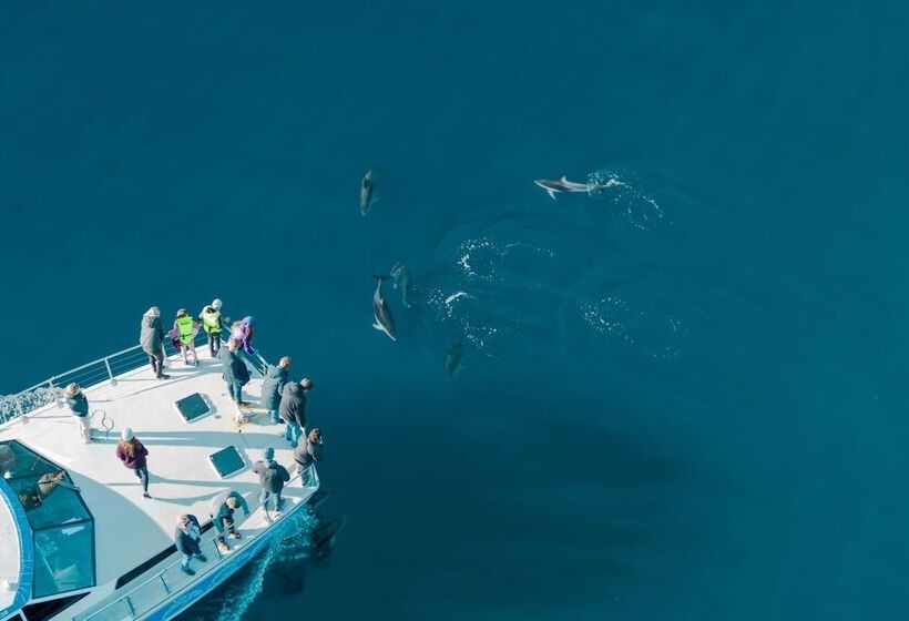 مُتل Tasman Holiday Parks Picton