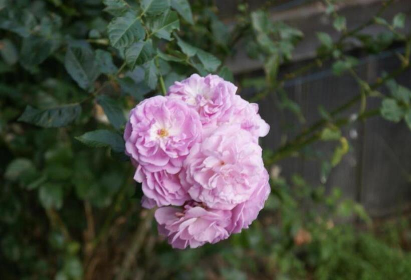 膳宿费 73 Milton Accommodation