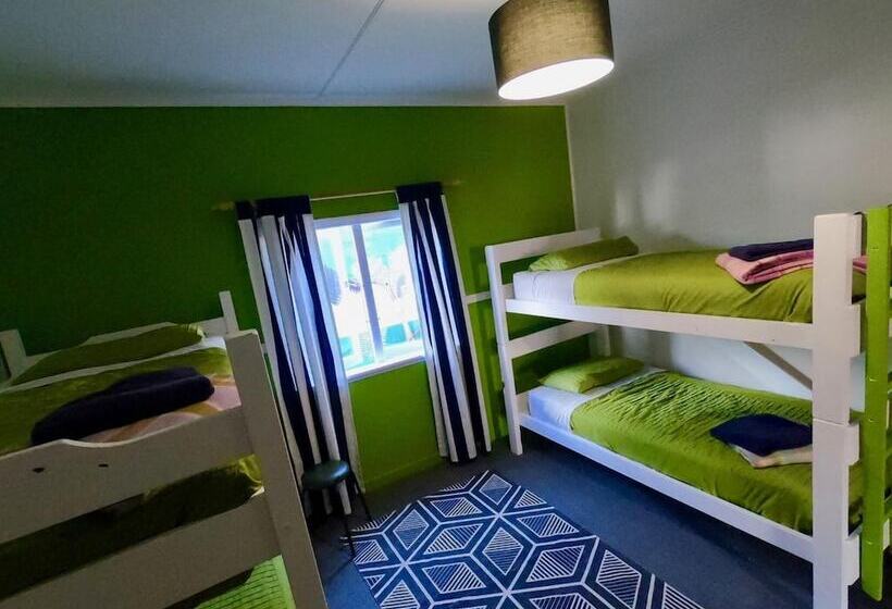 پانسیون Ducks & Drakes Boutique Motel & Backpackers