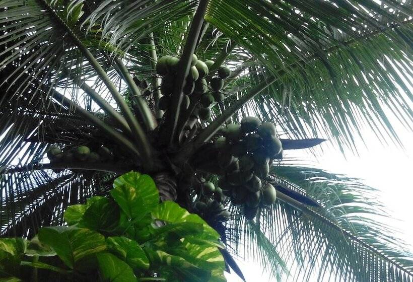 Pensjonat Goa Velha Guest House