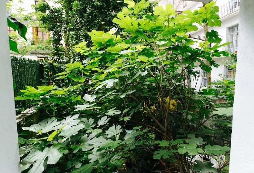 ペンション Hostal San Sebastian Centro