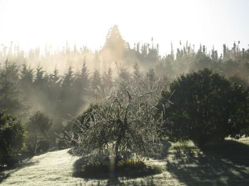 پانسیون Keriwin House