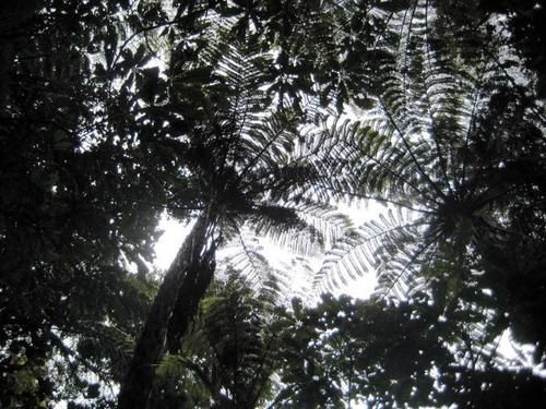 پانسیون Keriwin House