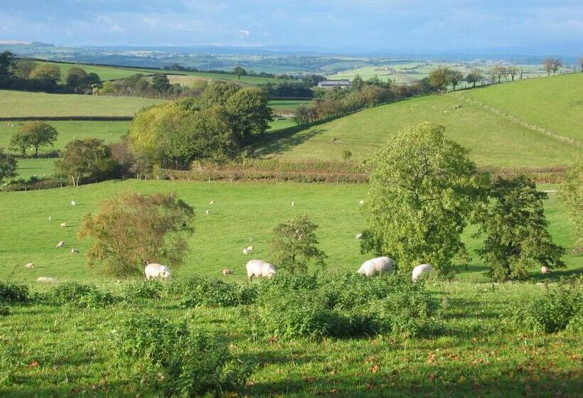 膳宿费 The Old Vicarage Dolfor