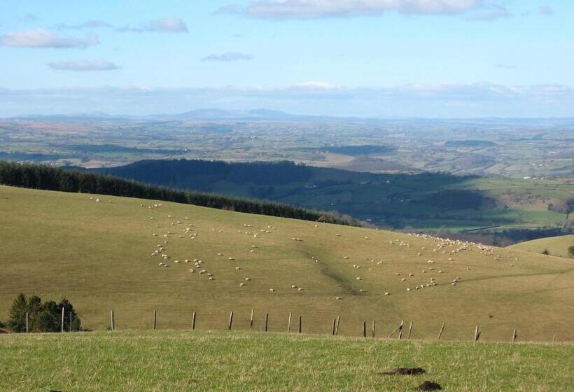 膳宿费 The Old Vicarage Dolfor