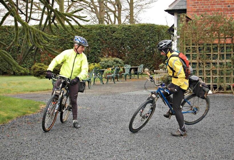 膳宿费 The Old Vicarage Dolfor