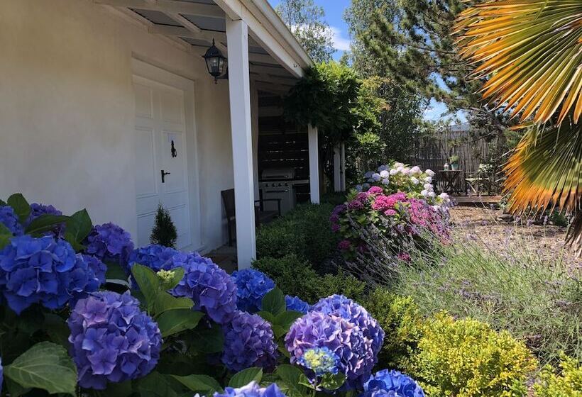 بنسيون Woodstock Suite