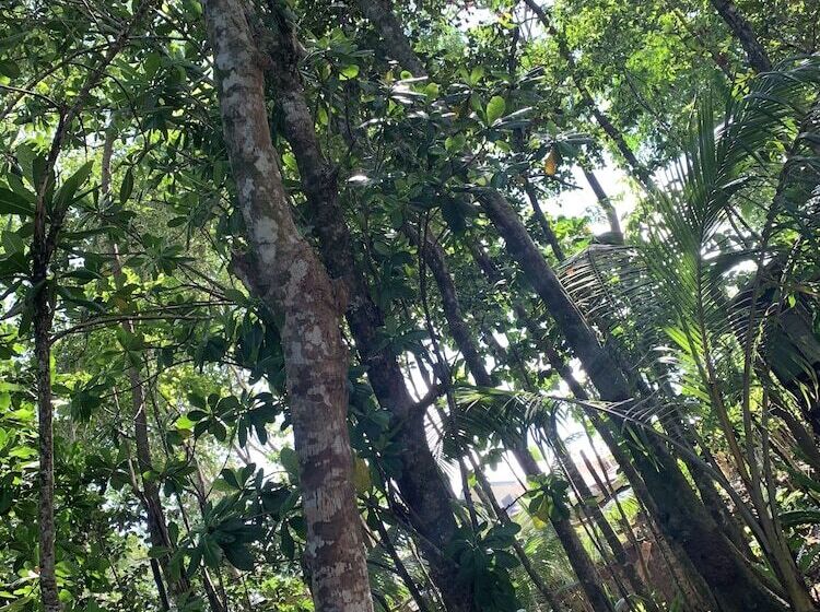 אתר נופש Lusia's Lagoon Chalets