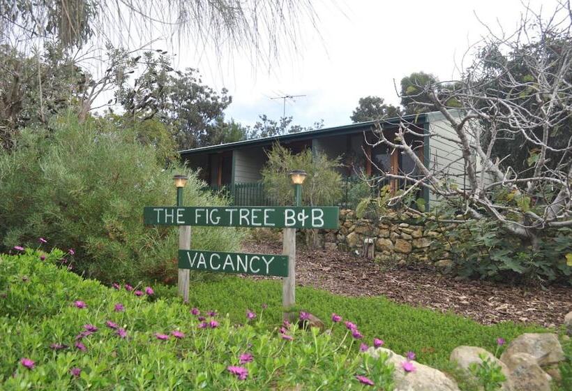 The Fig Tree B&b