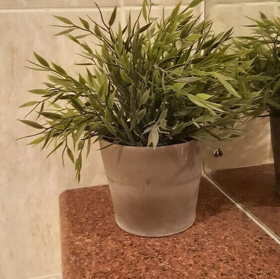 Tony Asga   Tony S Apartments