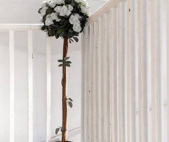 Tony Asga   Tony S Apartments