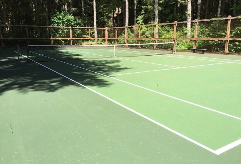 50sw   Wi Fi   Fireplace   W/d   D/w   Sleeps 4