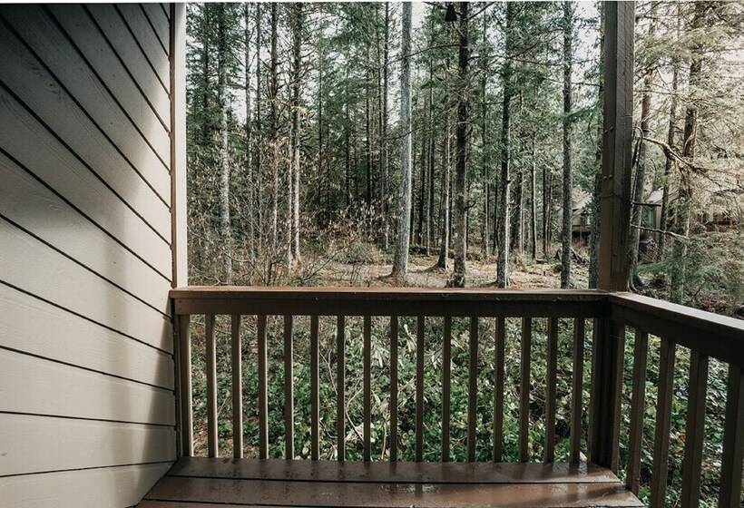 50sw   Wi Fi   Fireplace   W/d   D/w   Sleeps 4