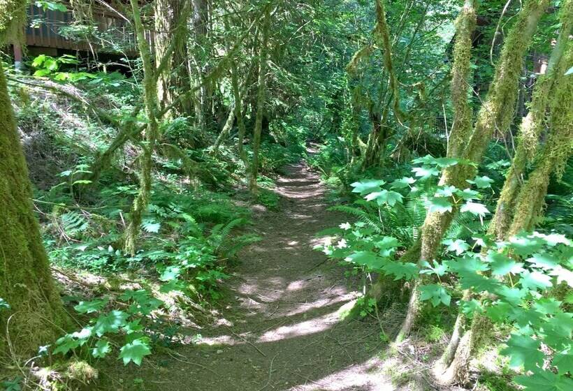 75sl   Wifi   Bbq   Pets Ok   Sleeps 6 2 Bedroom Home By Redawning