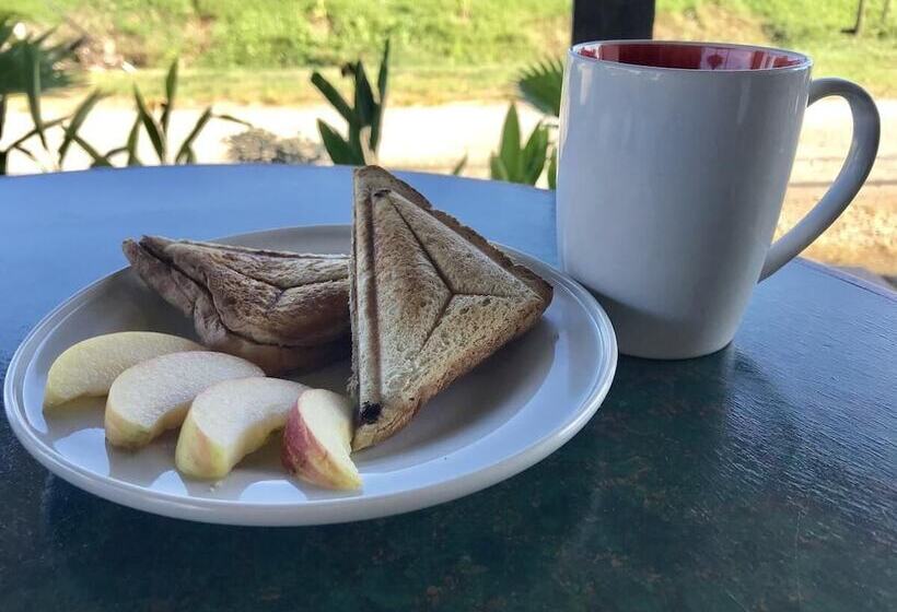 ユースホステル Indiana Cafe And Beds