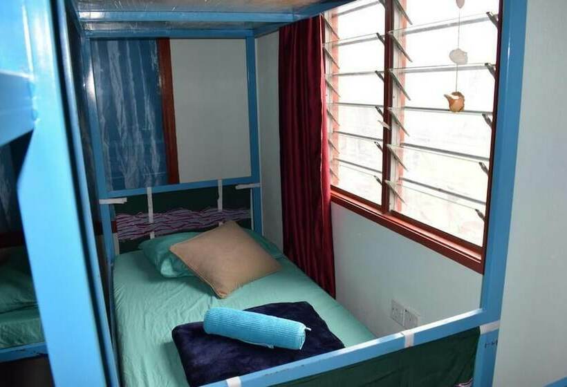 ユースホステル Indiana Cafe And Beds