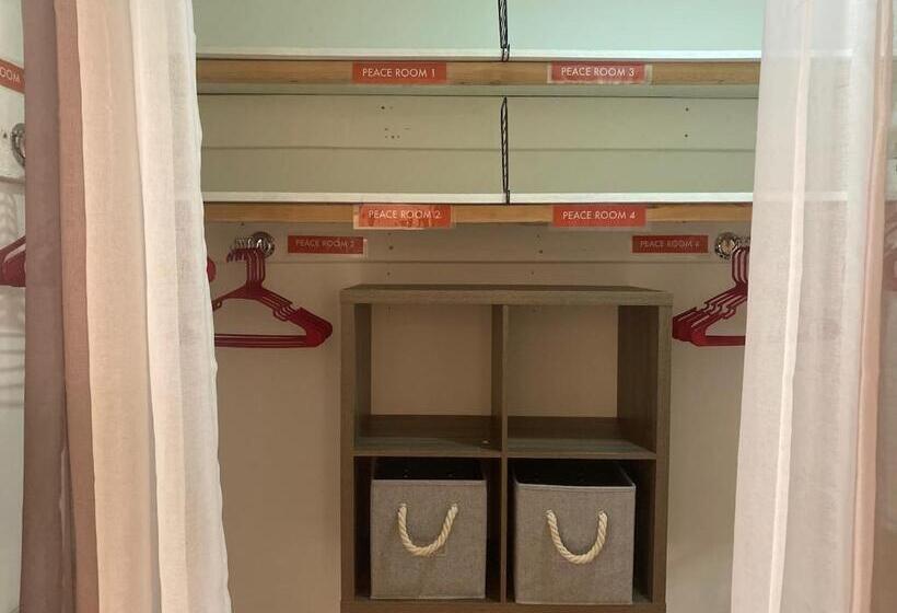 فندق صغير Whole Family   Barrette