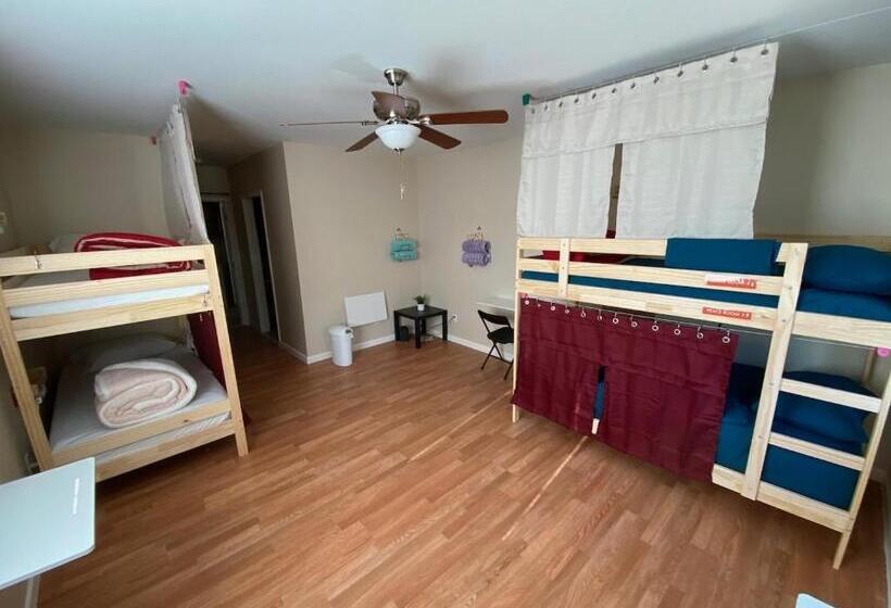 فندق صغير Whole Family   Barrette