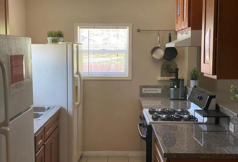 旅馆 Whole Family Barrette