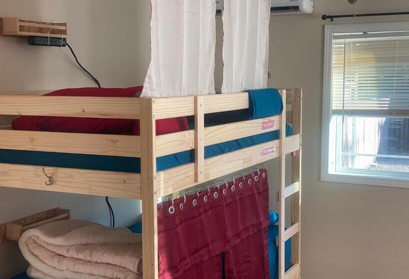 旅馆 Whole Family Barrette