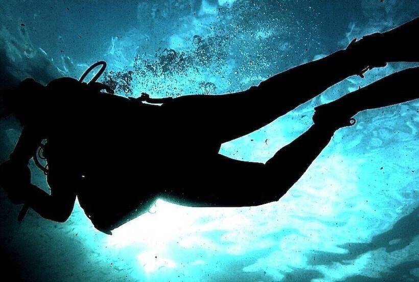 旅馆 Vila Barra Porto