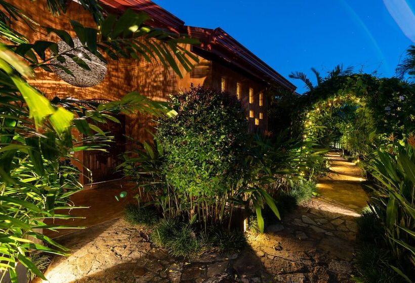 مبيت وإفطار Dcanal House