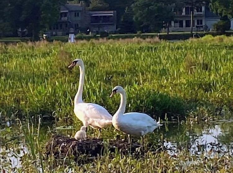 צימר The Sanctuary On Huron River